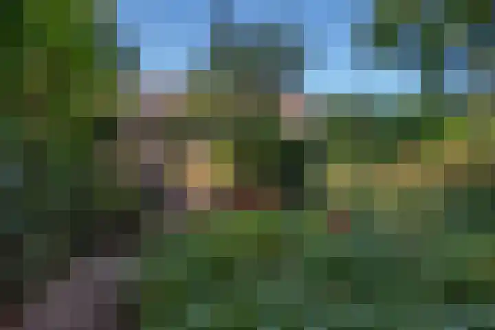 Prins Hendriklaan 11 Rijswijk thumbnail 32