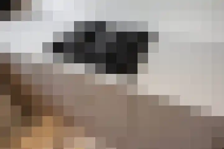 Prins Hendriklaan 11 Rijswijk thumbnail 35
