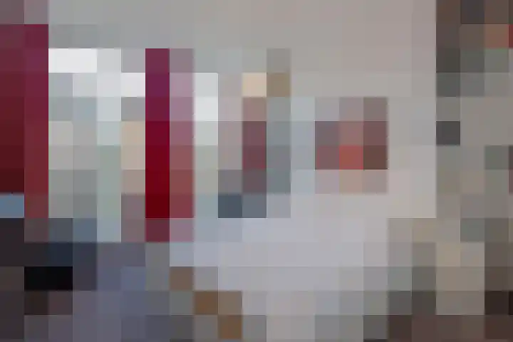 Prins Hendriklaan 11 Rijswijk thumbnail 38