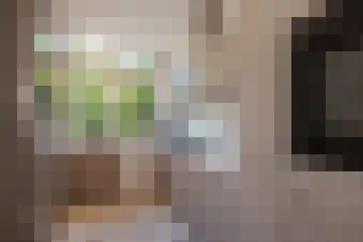 Prins Hendriklaan 11 Rijswijk thumbnail 4