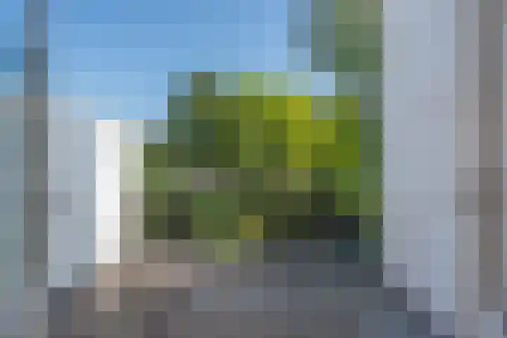Prins Hendriklaan 11 Rijswijk thumbnail 43