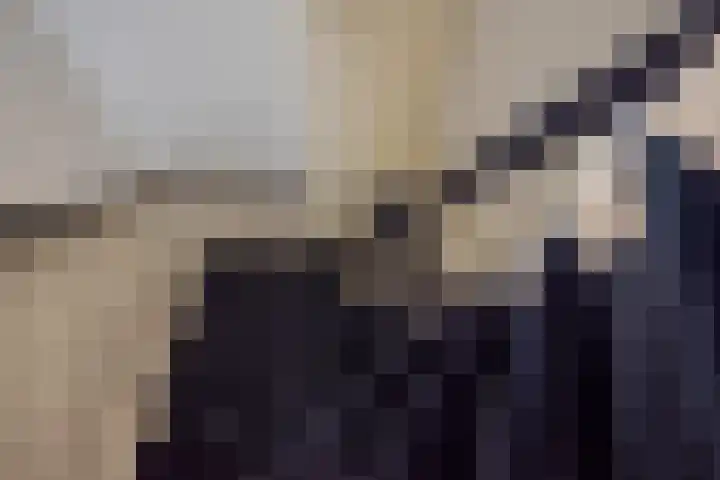 Prins Hendriklaan 11 Rijswijk thumbnail 49