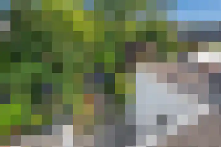 Prins Hendriklaan 11 Rijswijk thumbnail 54
