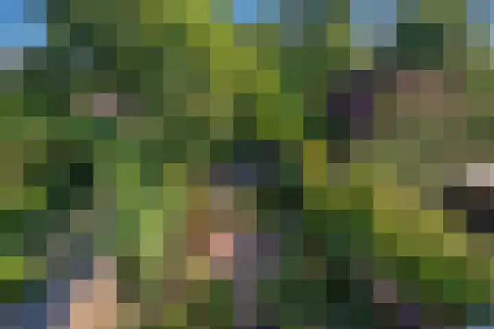 Prins Hendriklaan 11 Rijswijk thumbnail 55