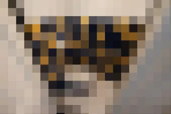 Prins Hendriklaan 11 Rijswijk thumbnail 59
