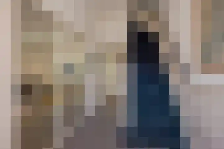 Prins Hendriklaan 11 Rijswijk thumbnail 8