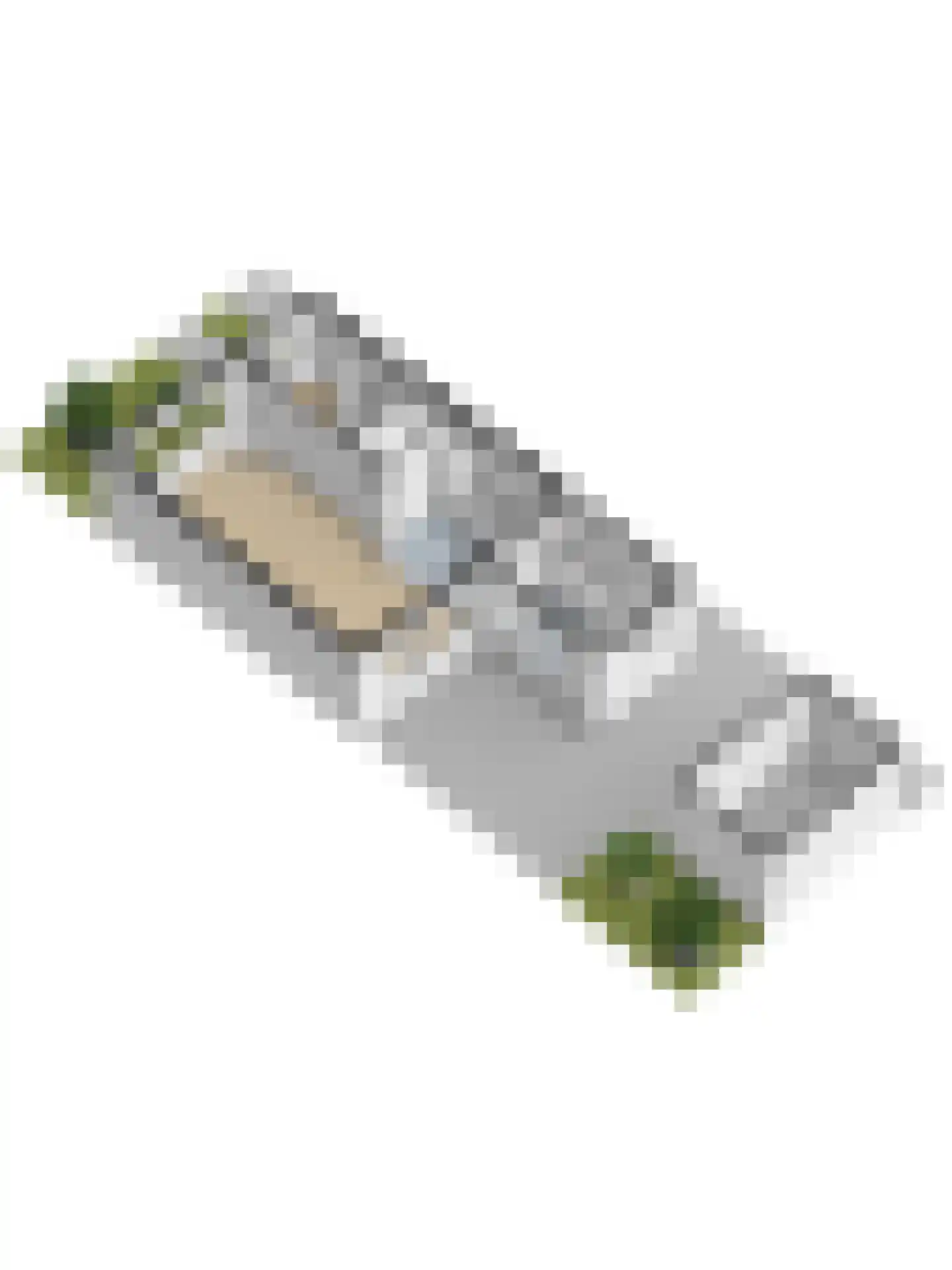 Prins Hendriklaan 11 Zuidland thumbnail 43