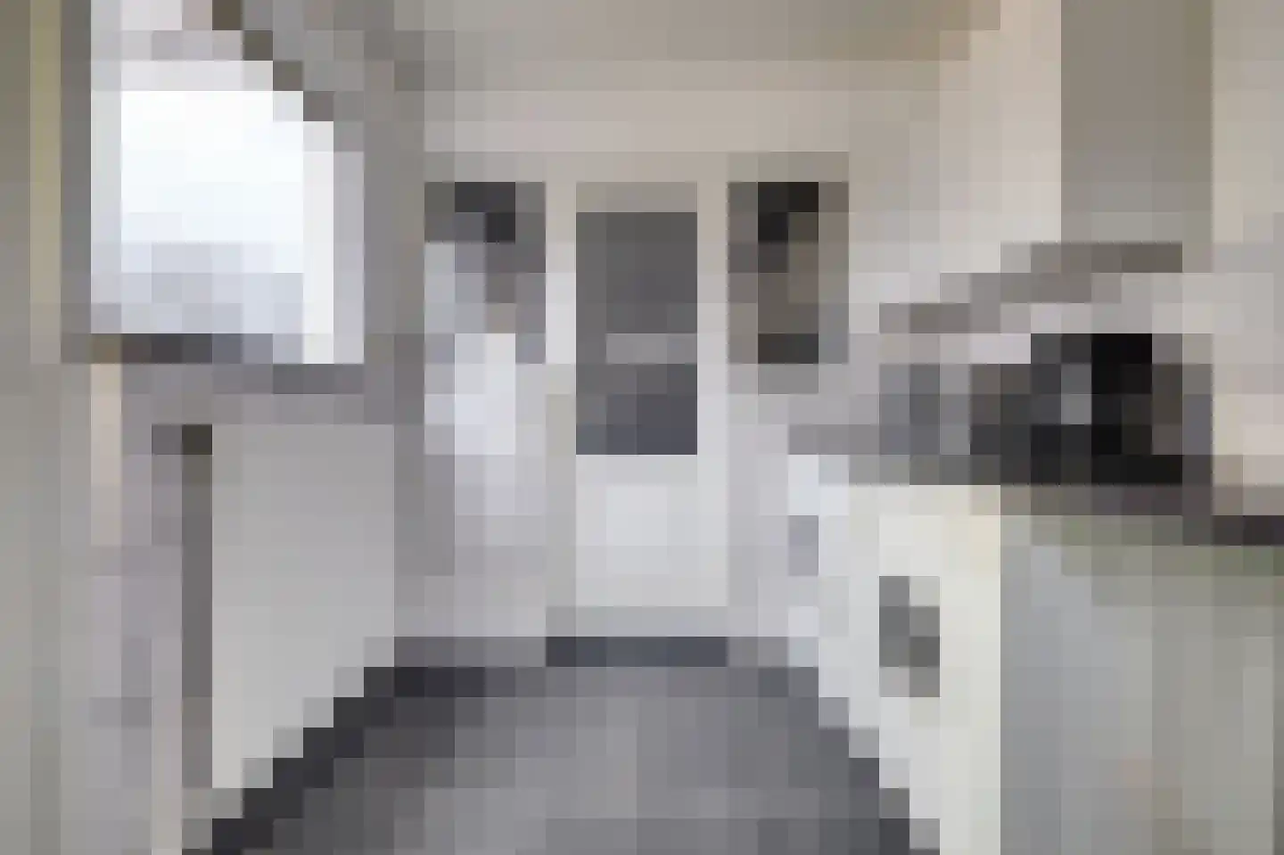 Prins Hendriklaan 11 Zuidland thumbnail 6