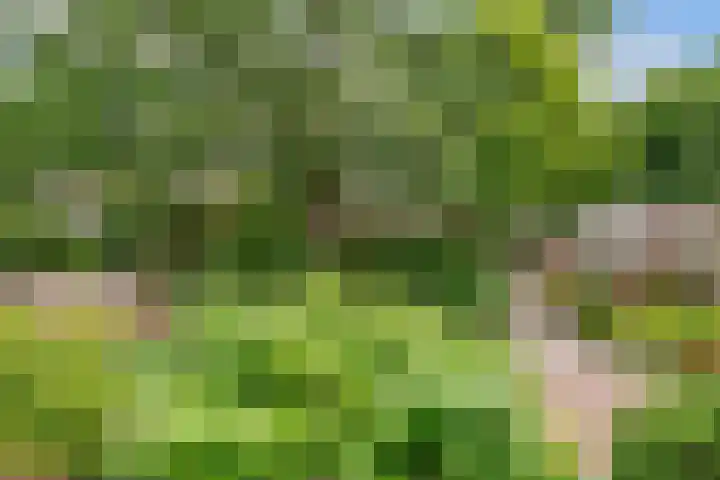 Prins Hendriklaan 111 Bilthoven thumbnail 34