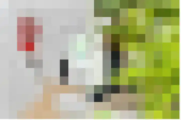 Prins Hendriklaan 111 Bilthoven thumbnail 4
