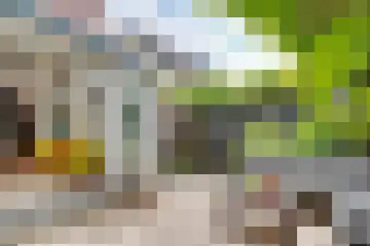 Prins Hendriklaan 111 Bilthoven thumbnail 42