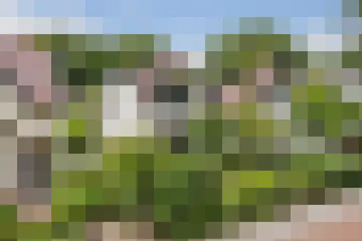 Prins Hendriklaan 111 Bilthoven thumbnail 45