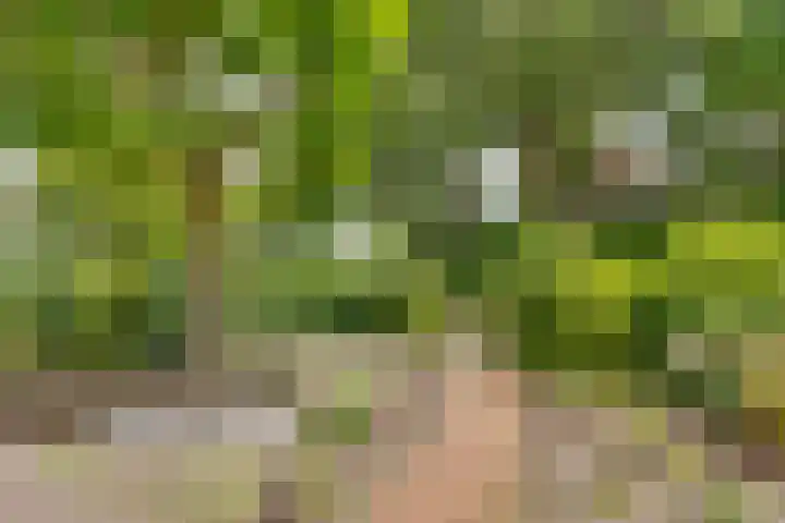 Prins Hendriklaan 111 Bilthoven thumbnail 46