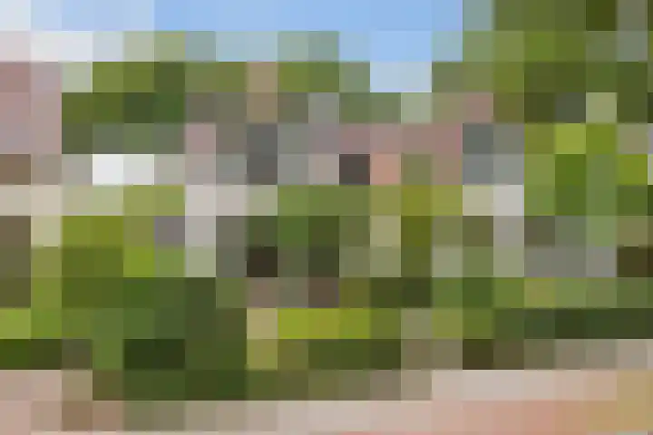 Prins Hendriklaan 111 Bilthoven thumbnail 49
