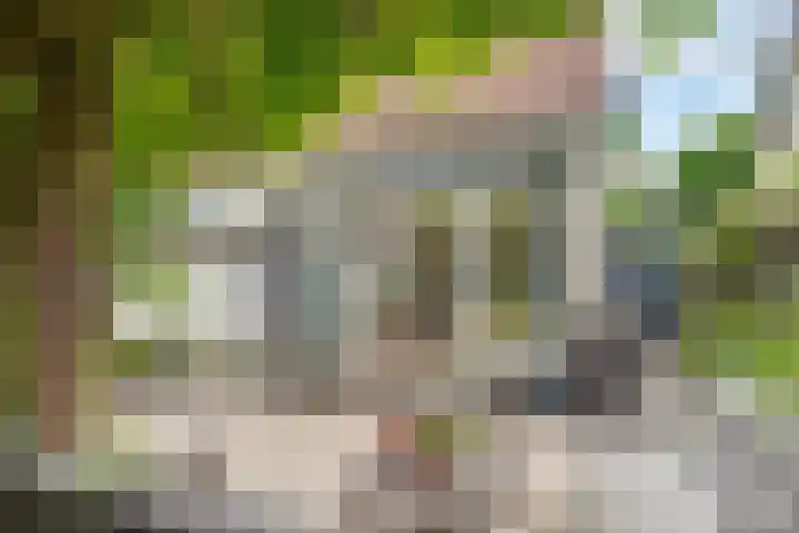 Prins Hendriklaan 111 Bilthoven thumbnail 5