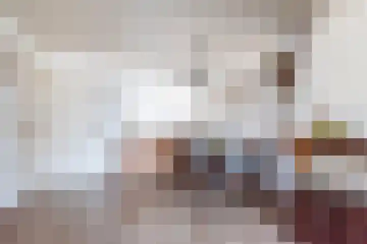 Prins Hendriklaan 12 Gendringen thumbnail 12