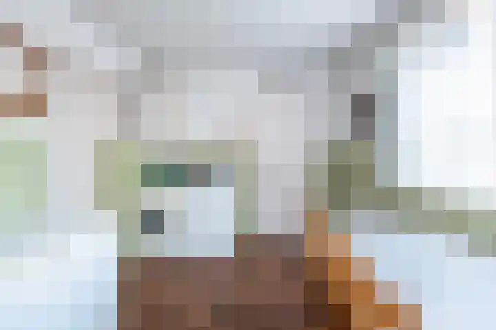 Prins Hendriklaan 12 Gendringen thumbnail 13