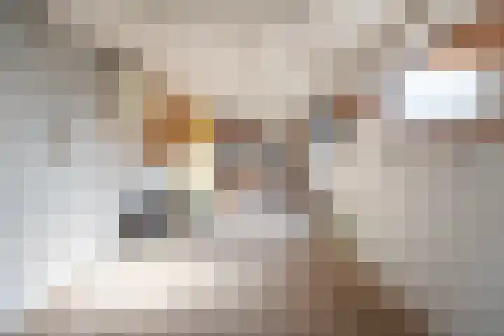 Prins Hendriklaan 12 Gendringen thumbnail 27