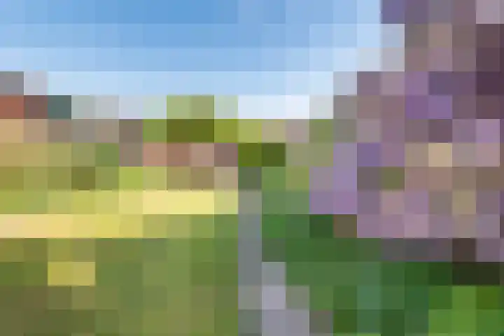 Prins Hendriklaan 12 Gendringen thumbnail 30