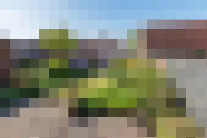 Prins Hendriklaan 12 Gendringen thumbnail 32