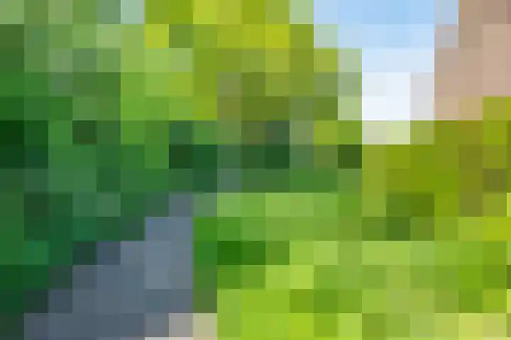 Prins Hendriklaan 12 Gendringen thumbnail 35
