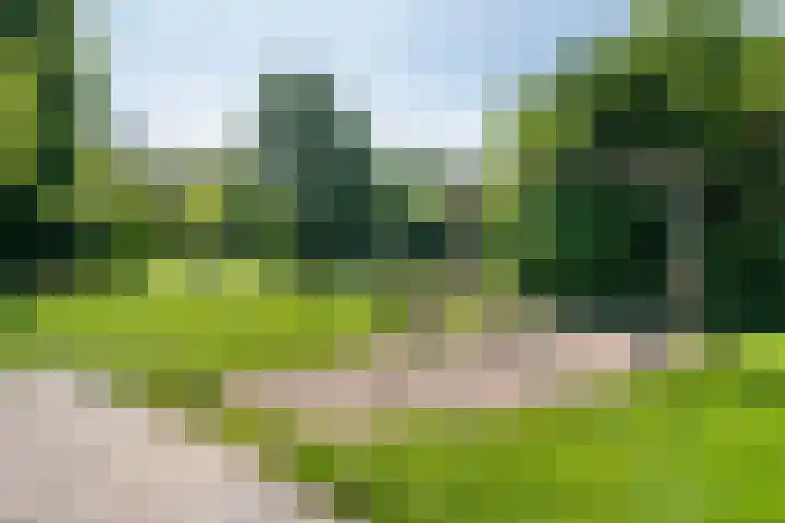 Prins Hendriklaan 12 Gendringen thumbnail 36