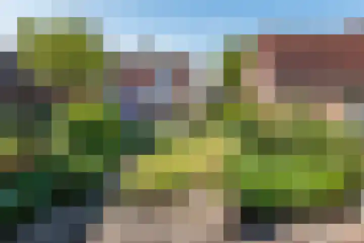 Prins Hendriklaan 12 Gendringen thumbnail 4