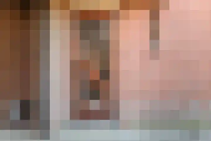 Prins Hendriklaan 12 Gendringen thumbnail 6