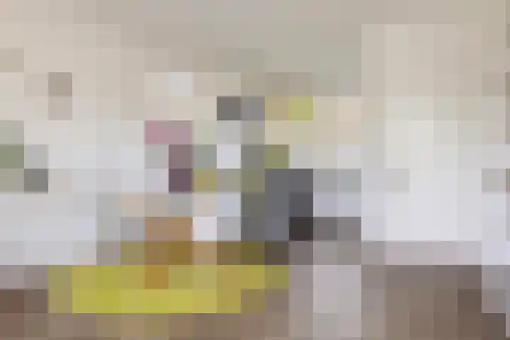 Prins Hendriklaan 12 H Zeist thumbnail 11