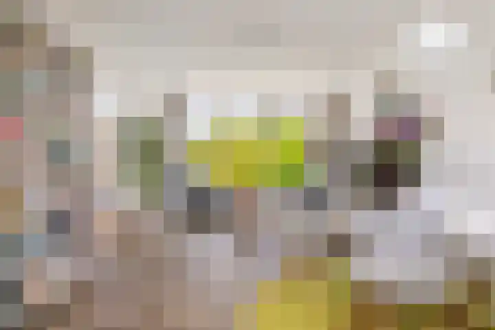 Prins Hendriklaan 12 H Zeist thumbnail 12