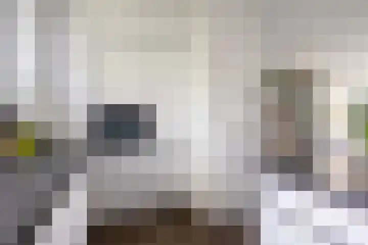 Prins Hendriklaan 12 H Zeist thumbnail 14