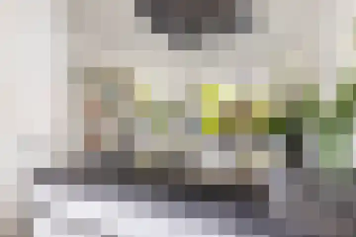 Prins Hendriklaan 12 H Zeist thumbnail 15