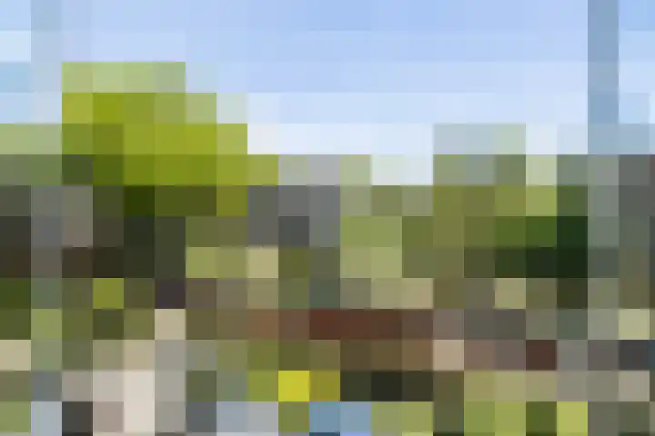 Prins Hendriklaan 12 H Zeist thumbnail 19