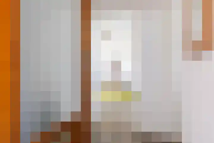 Prins Hendriklaan 12 H Zeist thumbnail 23