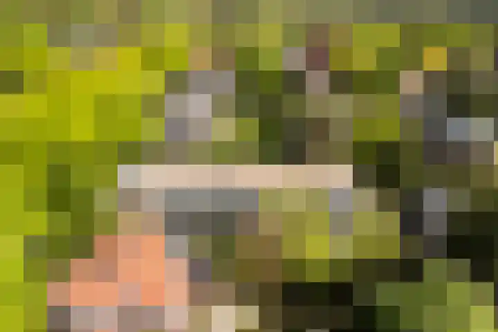 Prins Hendriklaan 12 H Zeist thumbnail 25