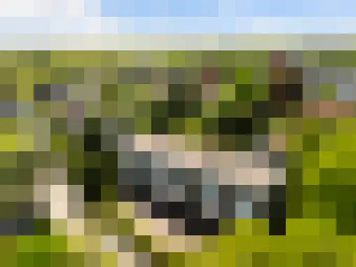 Prins Hendriklaan 12 H Zeist thumbnail 35
