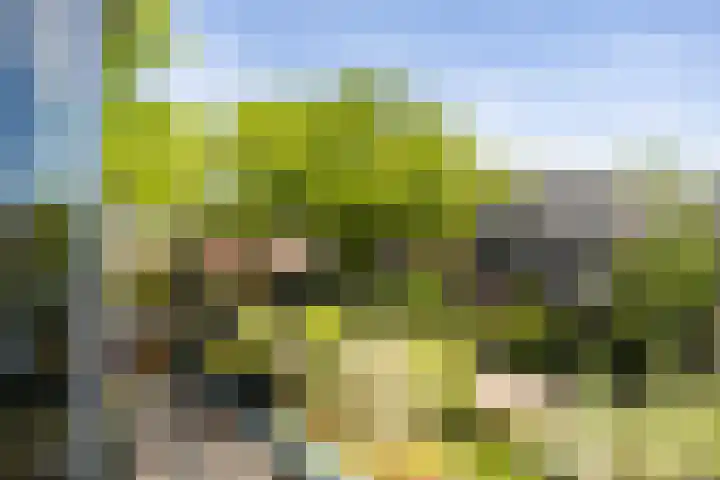 Prins Hendriklaan 12 H Zeist thumbnail 4