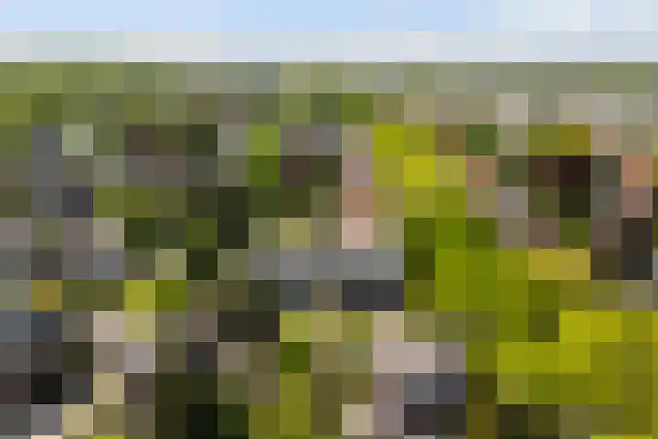Prins Hendriklaan 12 H Zeist thumbnail 5