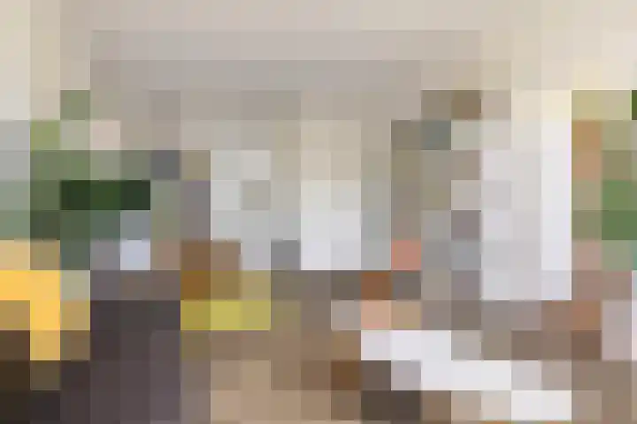 Prins Hendriklaan 12 H Zeist thumbnail 9