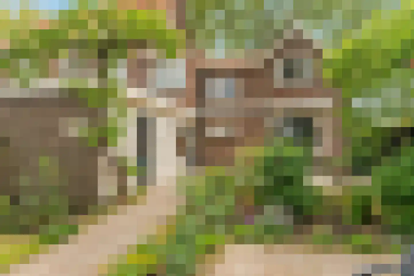 Prins Hendriklaan 12 Nieuwegein thumbnail 36