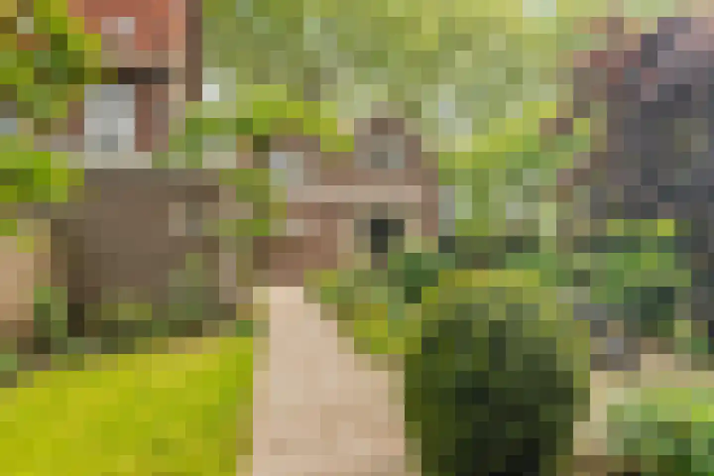 Prins Hendriklaan 12 Nieuwegein thumbnail 37