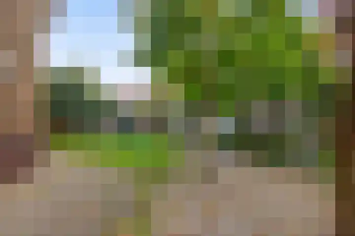 Prins Hendriklaan 129 Overveen thumbnail 23