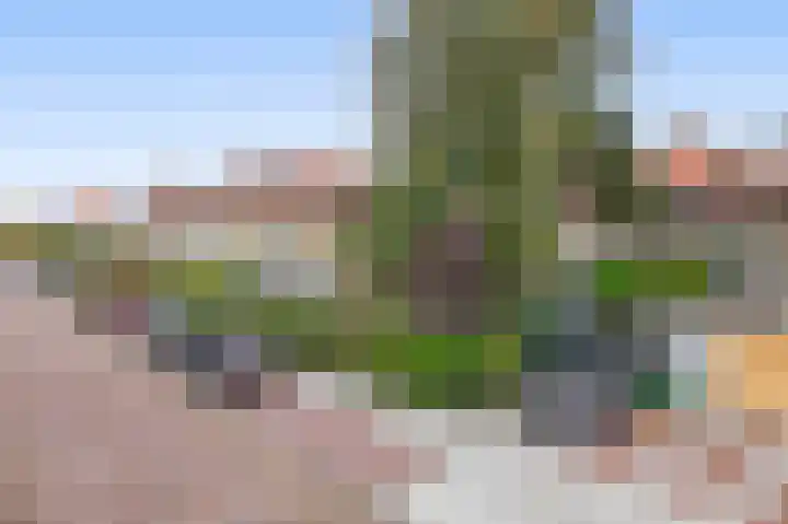 Prins Hendriklaan 129 Overveen thumbnail 5