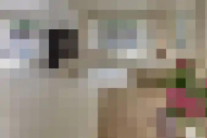 Prins Hendriklaan 13 Ermelo thumbnail 12