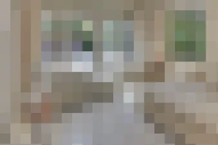 Prins Hendriklaan 13 Ermelo thumbnail 13