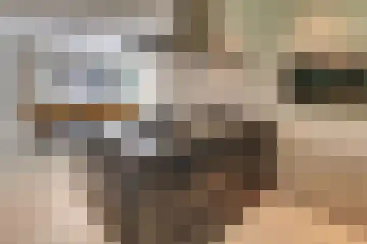 Prins Hendriklaan 13 Ermelo thumbnail 19