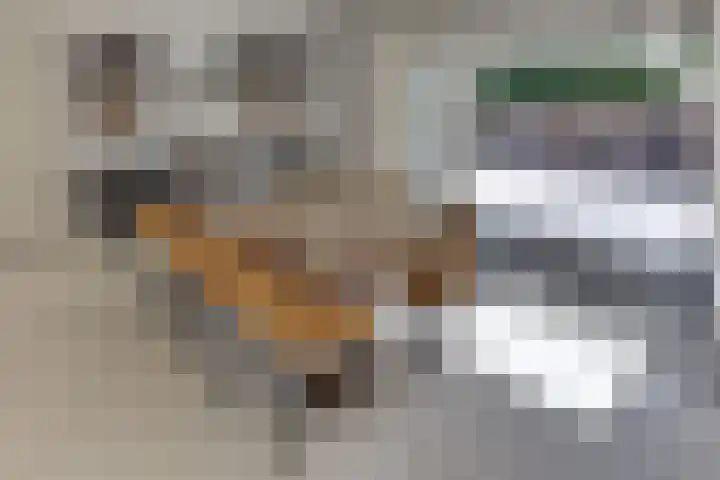 Prins Hendriklaan 13 Ermelo thumbnail 20