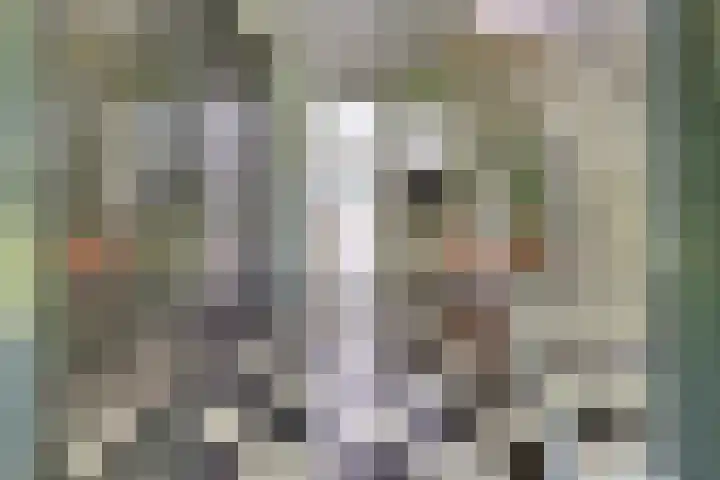 Prins Hendriklaan 13 Ermelo thumbnail 6