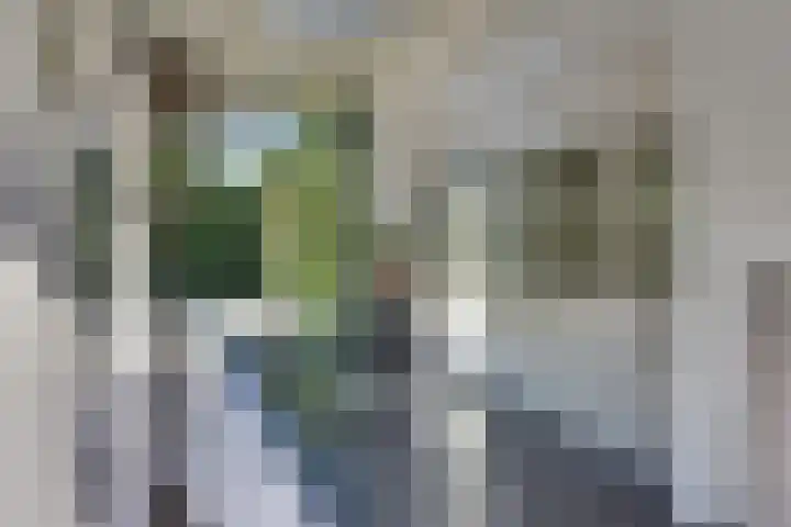 Prins Hendriklaan 13 Ermelo thumbnail 72