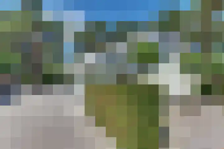 Prins Hendriklaan 13 Ermelo thumbnail 75